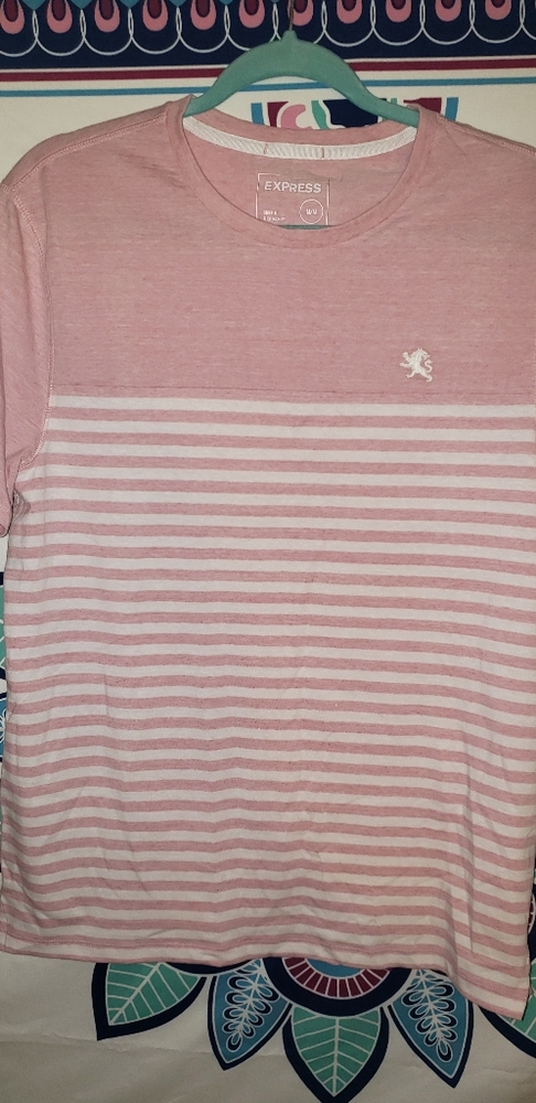EXPRESS Mens TShirt